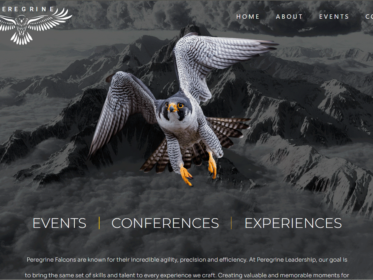 Peregrine Leadership