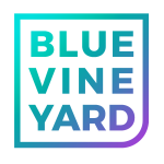 Blue Vineyard