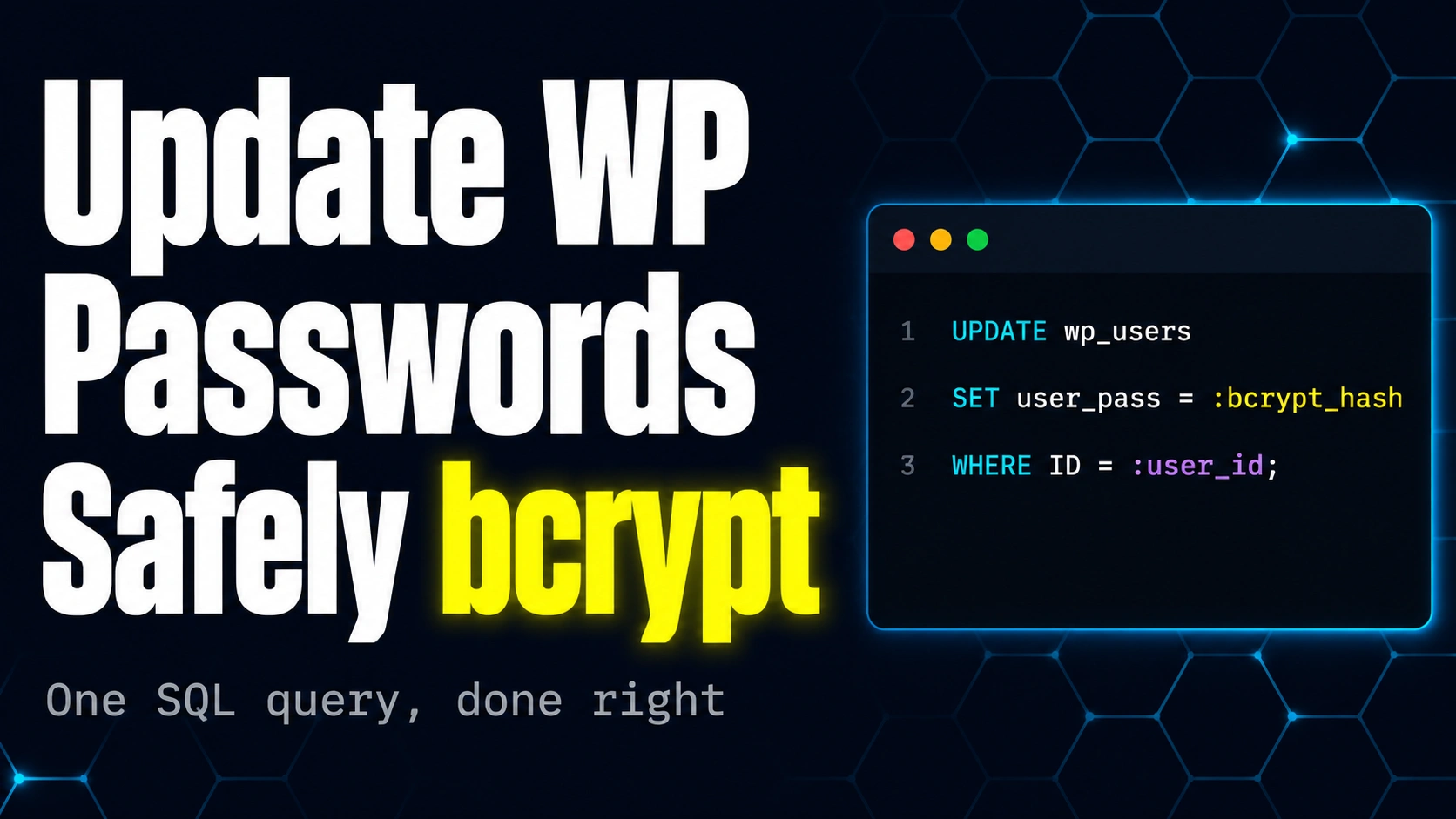 WordPress bcrypt password update SQL query in a code editor